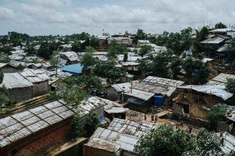 Bild ovanifrån på träd och hustak.